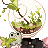 ordure's avatar