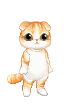 wunk's avatar