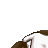 Insomnie's avatar