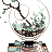 Non-Sequential's avatar