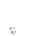 Genie Doll's avatar