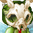 dude rugs's avatar