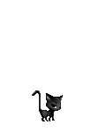 Mr Cats's avatar