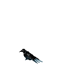 Nume Moon's avatar