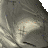 Princess Kurii's avatar