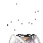 windail1's avatar