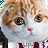Based Mald's avatar