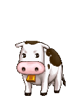 Your Asian Friend's avatar