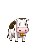 Your Asian Friend's avatar