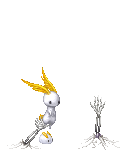 Gentle felix's avatar