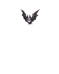 B4T's avatar