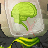 Tick's avatar