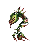 Nautilus Ocellus's avatar