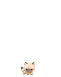 milk bunnies's avatar
