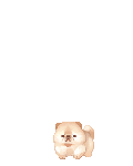 sachandoll's avatar