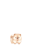 sachandoll's avatar