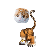 Cinosa's avatar