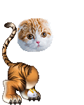 Cinosa's avatar