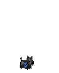 MusicalDragons 's avatar