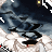Nerpin's avatar
