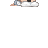Brofessor's avatar