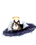 Al-leuk's avatar