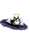 Al-leuk's avatar