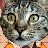 Raikuda's avatar