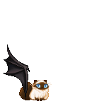 xKittyxKittyx's avatar