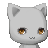 your qtpi's avatar