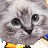 Bixio's avatar