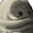 Warm Pits's avatar