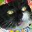 m3g4t0ky0's avatar