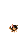 ninjaroobear's avatar