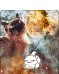xx Cookie-Boots xx's avatar