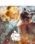 xx Cookie-Boots xx's avatar