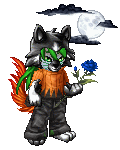 Aniro the Wolf Warrior's avatar