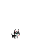 kaskerin's avatar