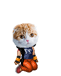 ll Jade lI's avatar