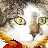 Dr Tickles MD's avatar