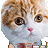 Dippamusk's avatar